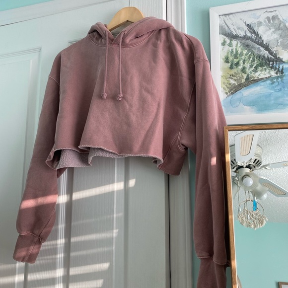 Aritzia TNA Crop Boyfriend Hoodie Mauve - Picture 4 of 6
